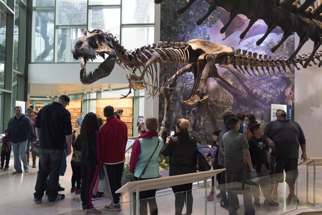 Witte Museum